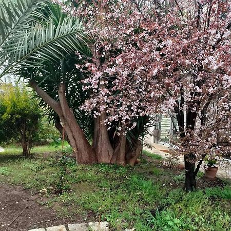 Giardino A Mare Apartman Bari Kültér fotó