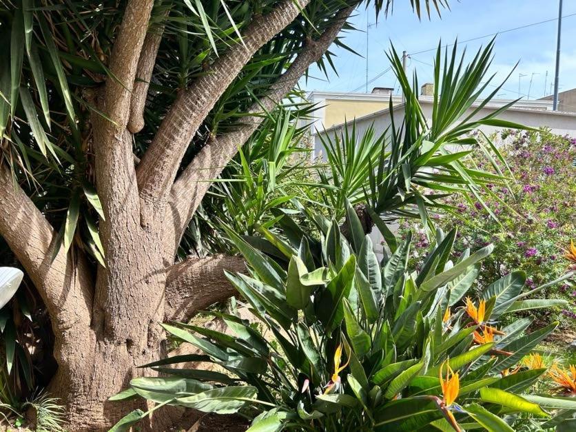 Giardino A Mare Apartman Bari Kültér fotó