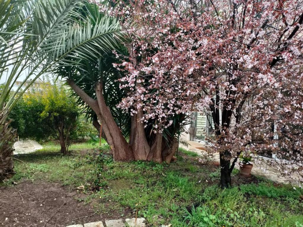 Giardino A Mare Apartman Bari Kültér fotó